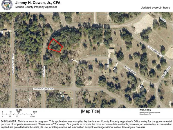 Guava Ter Lot 29, Ocklawaha, FL 32179