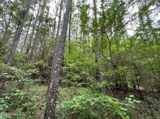 1 Gunter Rd, Walnut Grove, MS 39189