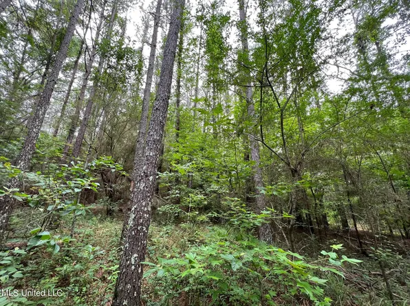 1 Gunter Rd, Walnut Grove, MS 39189