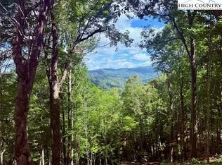 190 Raspberry, Elk Park, NC 28622