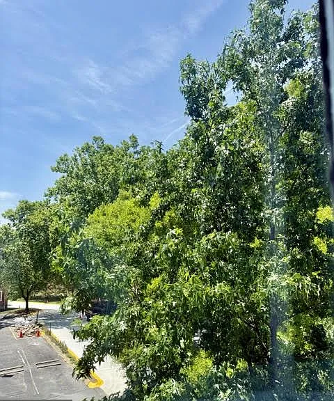 3824 Porter St NW #E395 — Photo 27