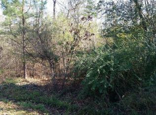 Tbd Little Doe Dr, Ville Platte, LA 70586