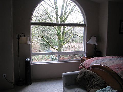 3rd image of 12 Satsop Ct