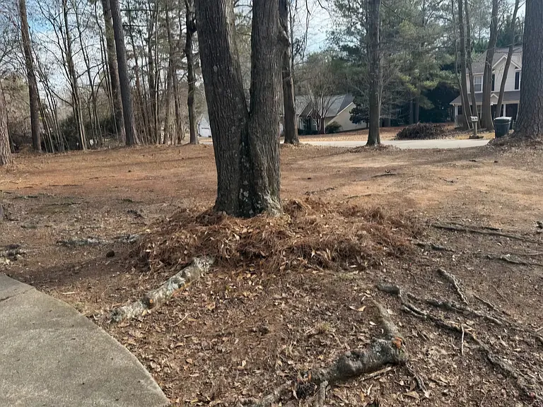 312 Holly Tree Cir — Photo 10