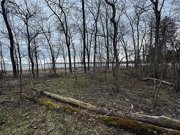 4th image of Wickman Rd