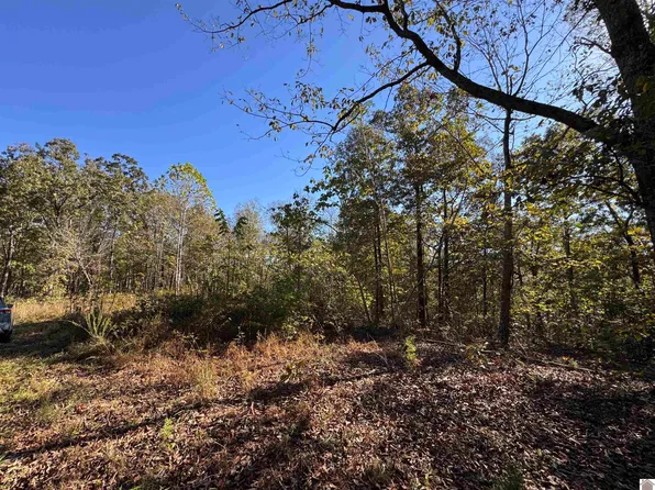 0 Ridge Rd, New Concord, KY 42076
