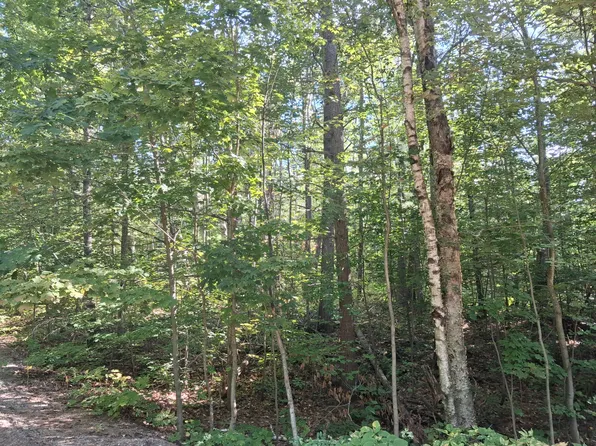 V/l Mackinaw Trl, Gaylord, MI 49735