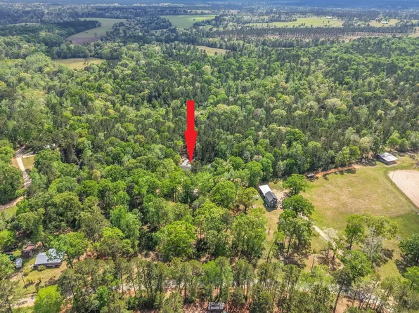 1290 Spring Ridge Rd, Coldspring, TX 77331