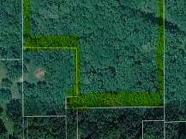 2299 Parksville Ln, Staunton, IL 62088