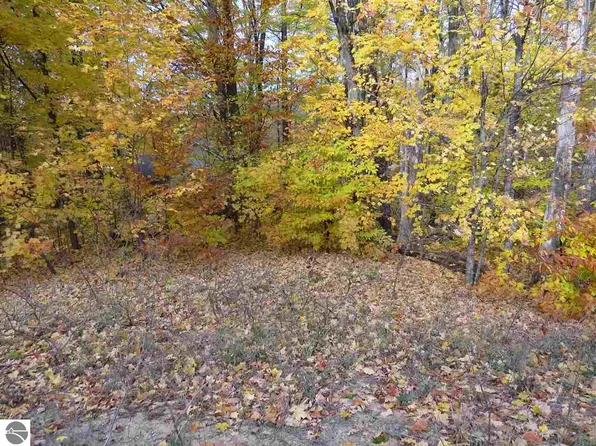 LOT 79 Eden St, Kingsley, MI 49649