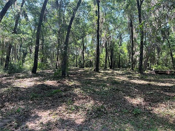 3rd image of LOT 55 Saint Josephs Point