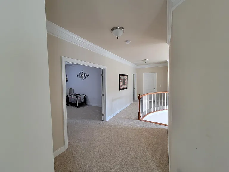 3717 Linville Gorge Way — Photo 22