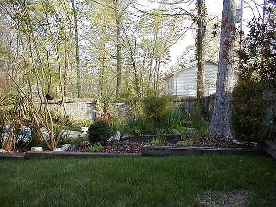 Back yard