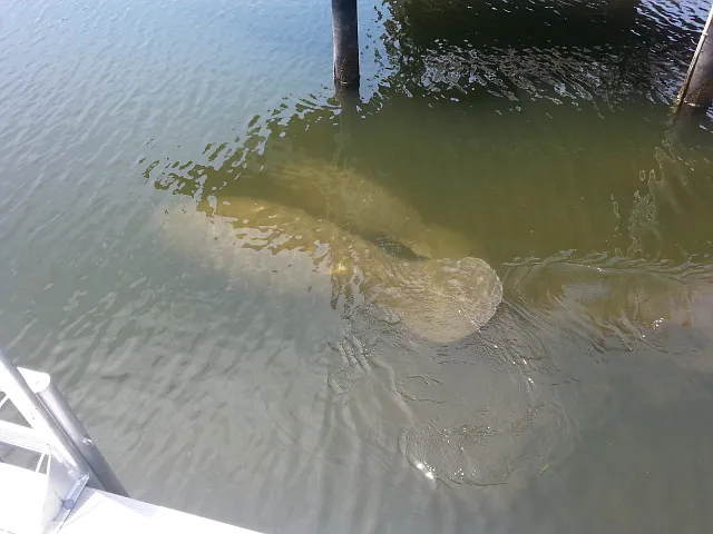 11059 W Harbor Watch Loop — Photo 10