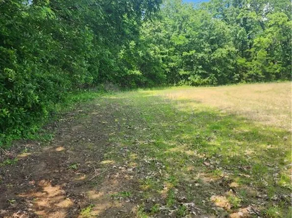 0 NW Forest Rd, Cameron, MO 64429