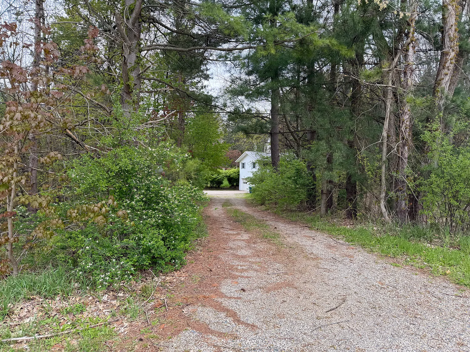 3 bed, 1852 sqft, $2,950 — Photo 3