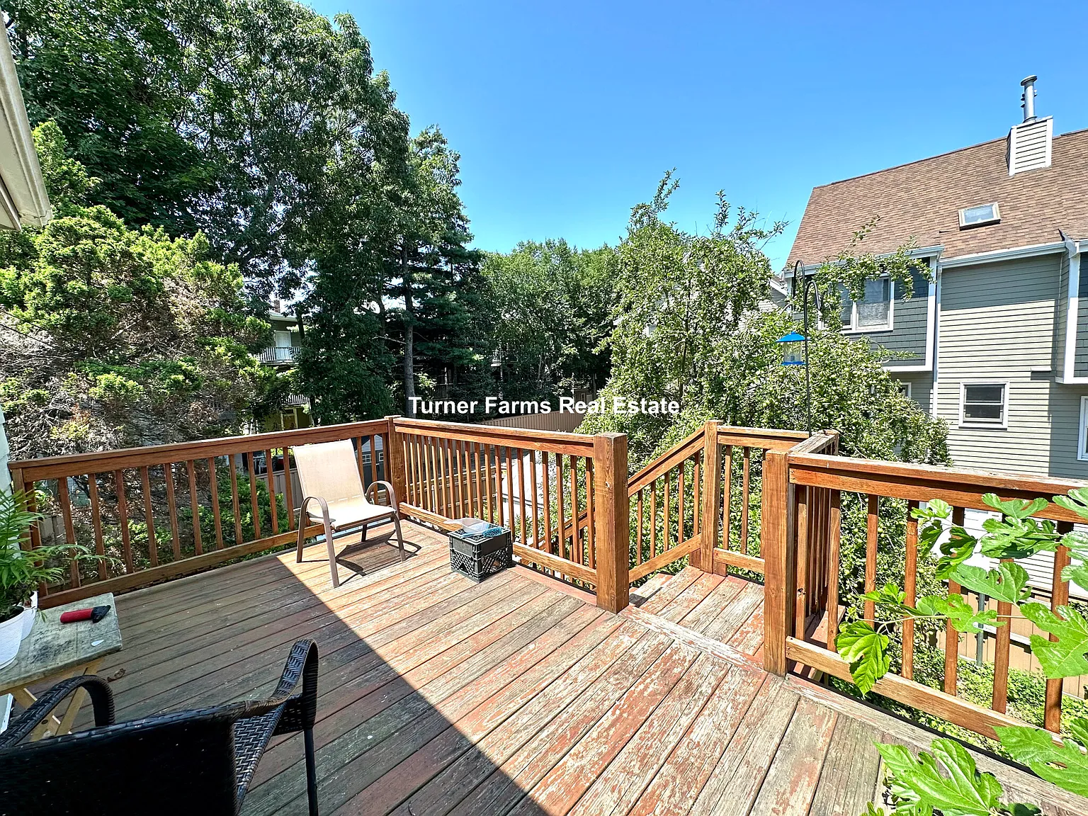 4 bed, 9999 sqft, $3,600 — Photo 3