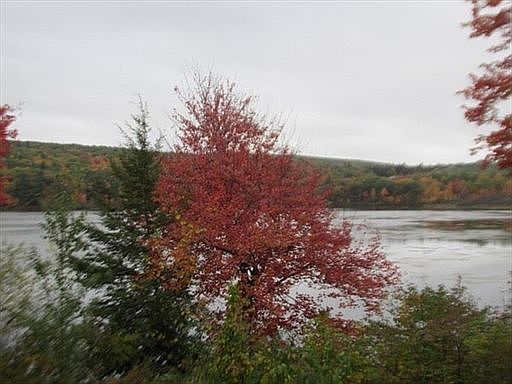 Breath taking fall views