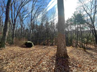 115 Polk Dr, Mount Jackson, VA 22842