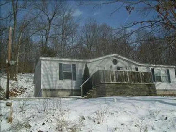 411 Davis Rd, Crown City, OH 45623