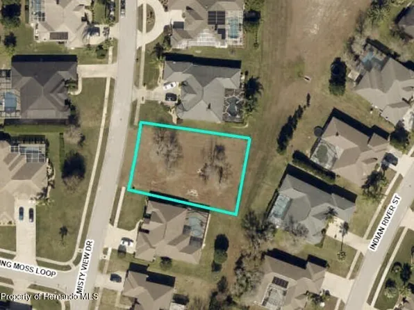 0 Misty View Dr, Spring Hill, FL 34609
