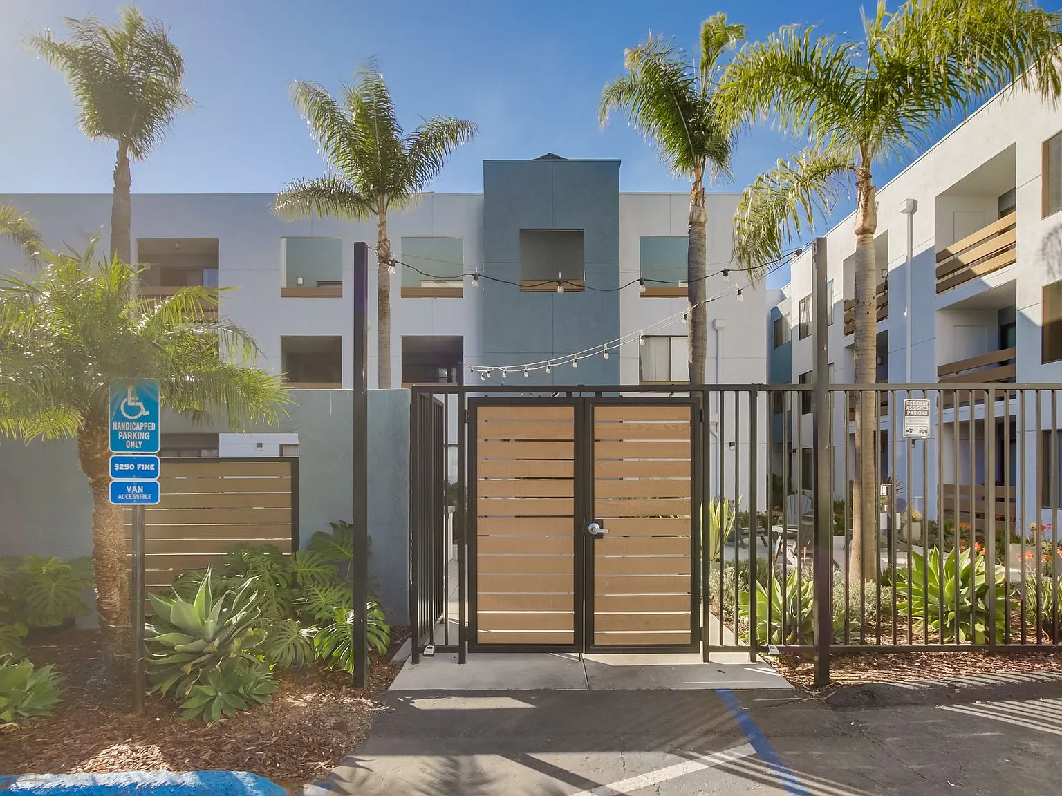 The Lucci | Renovated 1 & 2 Bedroom Apartments in Clairemont — Photo 2