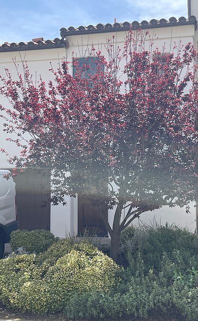 2nd image of 1477 Hosmer Ln