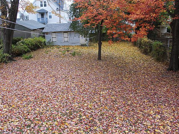 Rear yard