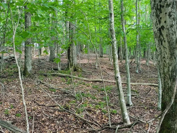 215 Overbrook Trail, Beech Mountain, NC 28604