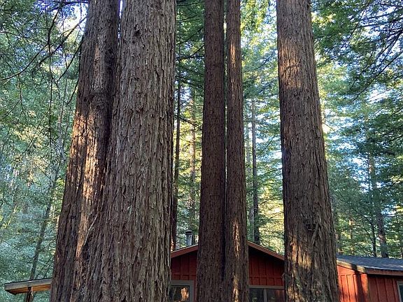 2nd image of 155 Native Sons Rd