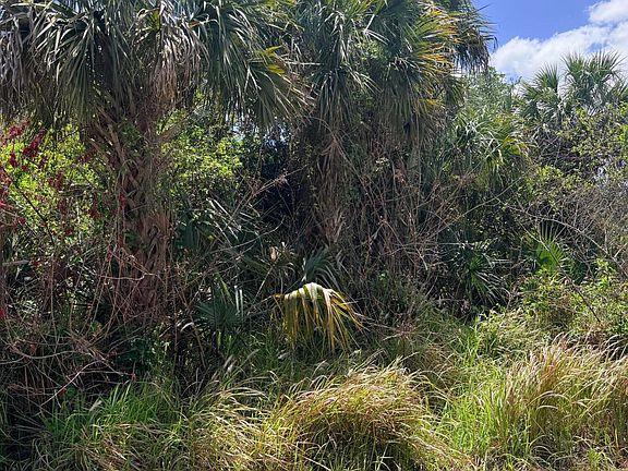 2nd image of 708 Parrotfish St SW