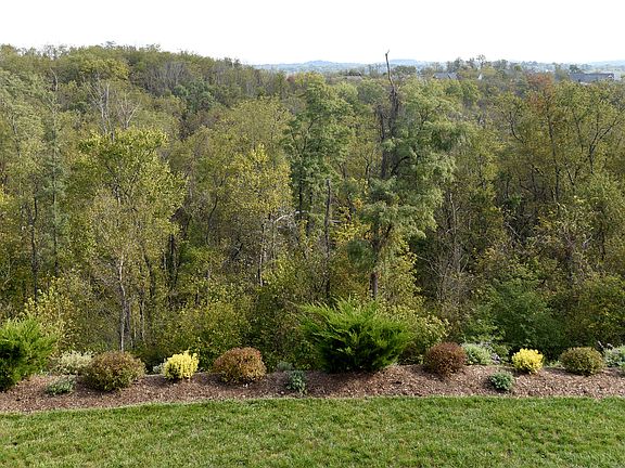 View from back patio