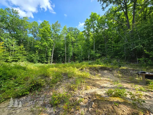 McCormick Lake Rd, Atlanta, MI 49709