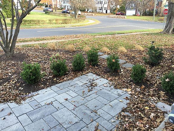 New front patio and landscap
