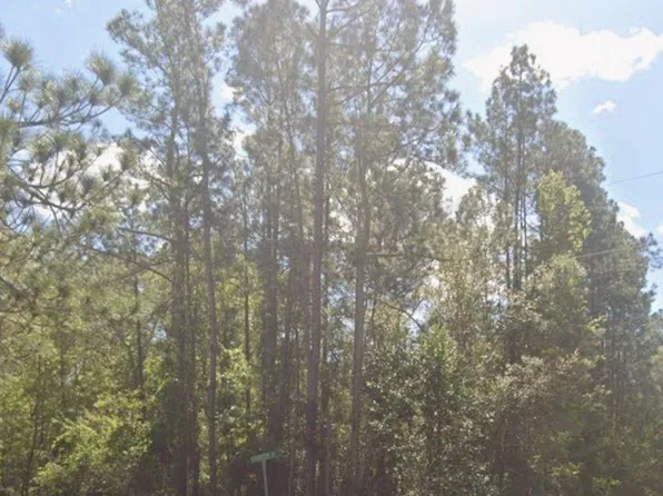 0 Magnolia Ln, Georgetown, FL 32139