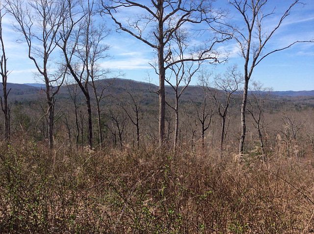 2nd image of LOT 38 Hideaway Ln