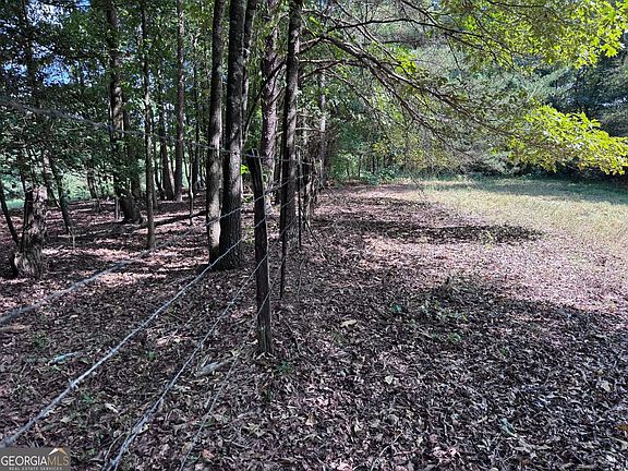 3rd image of 8126 Skitts Mountain Rd