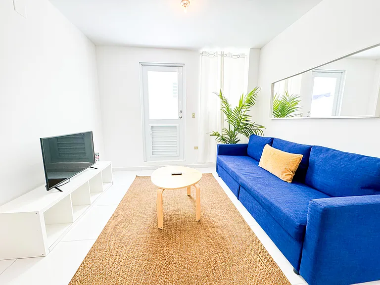172 Calle Capitan Cor #2101 — Photo 10