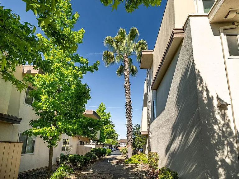 Marconi Gardens East — Photo 20