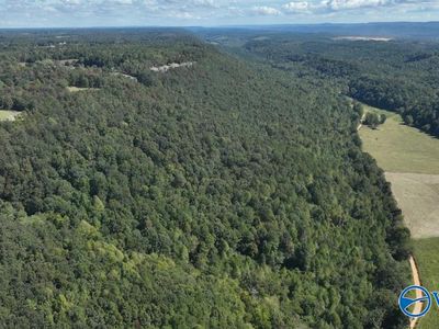 LOT 1 County Road 223, Collinsville, AL, 35961