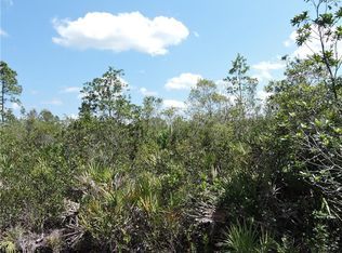 1151 Dill Rd, Orlando, FL 32820