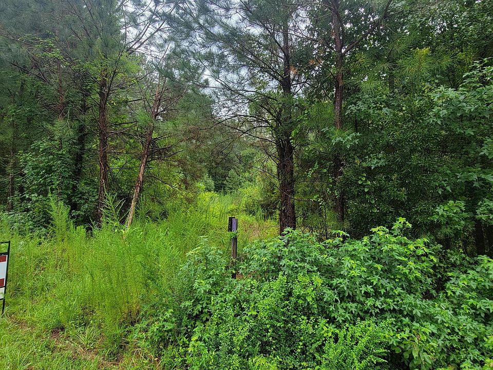 2nd image of 0 Point Caswell Road