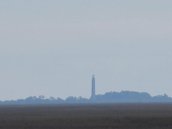 5th image of 4 Ivory Bill Ln