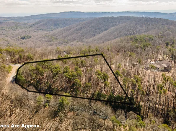 0 Shivas Crst, Rising Fawn, GA 30738