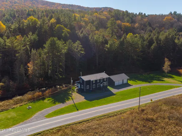 226 Potter Mountain Road, Conesville, NY 12076