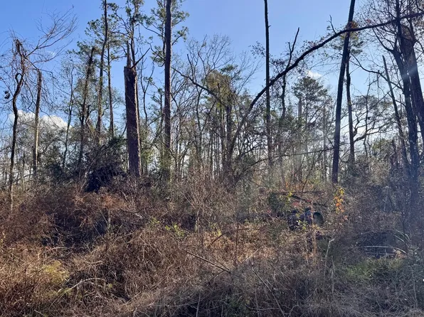 2 Lots Sw 76th Ter, Jasper, FL 32052