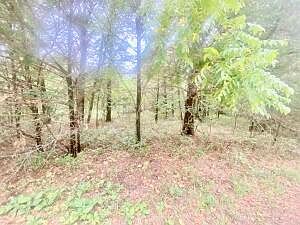 1st image of Lot 6&7 Dade 56