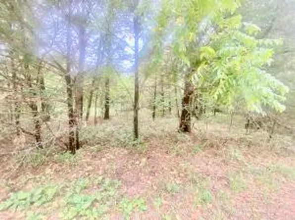 Lot 6&7 Dade 56, Greenfield, MO 65661