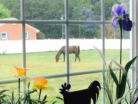 Veiw from master bath