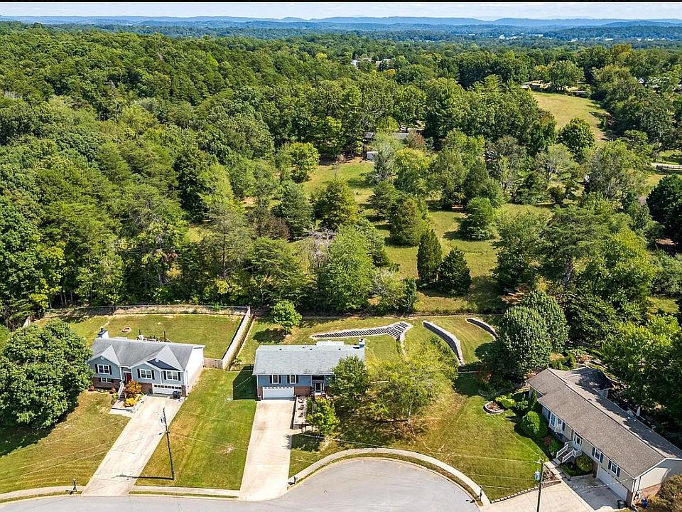 Aerial view, cul de sac, middle property